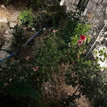 μιτάτο οίτη Lägenhet